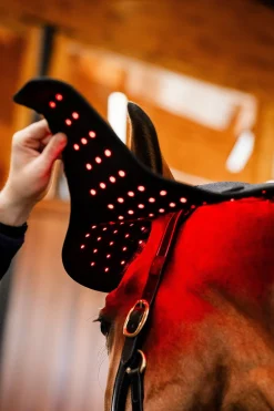 Nackskydd Infraröd LED Svart