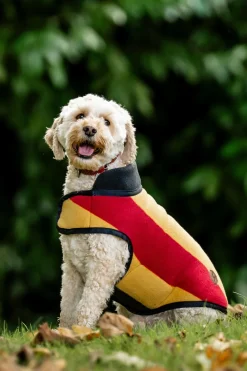 Newmarket Hundfleece Medium Witney Gold