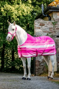 Newmarket Ponny Fleecetäcke Witney Pink