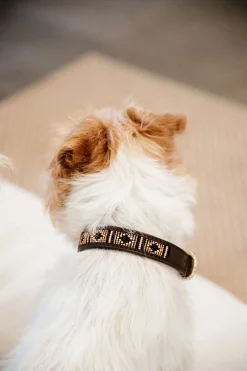 Pärlor Hundhalsband