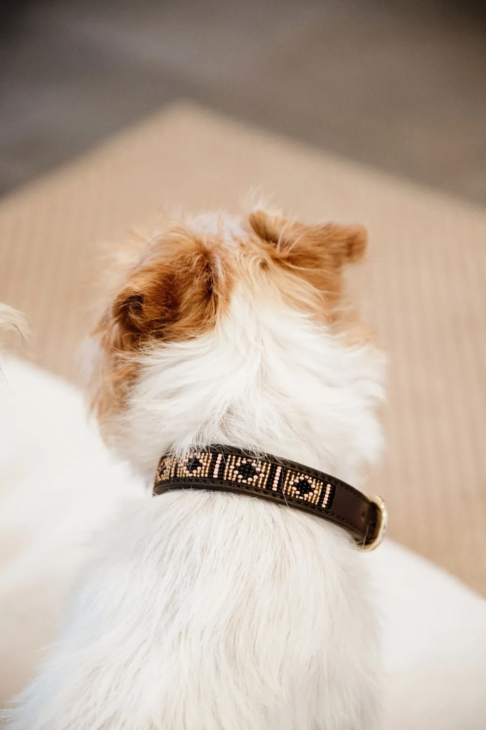 Pärlor Hundhalsband