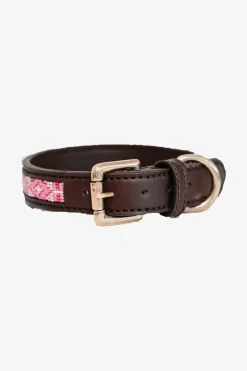Pärlor Hundhalsband