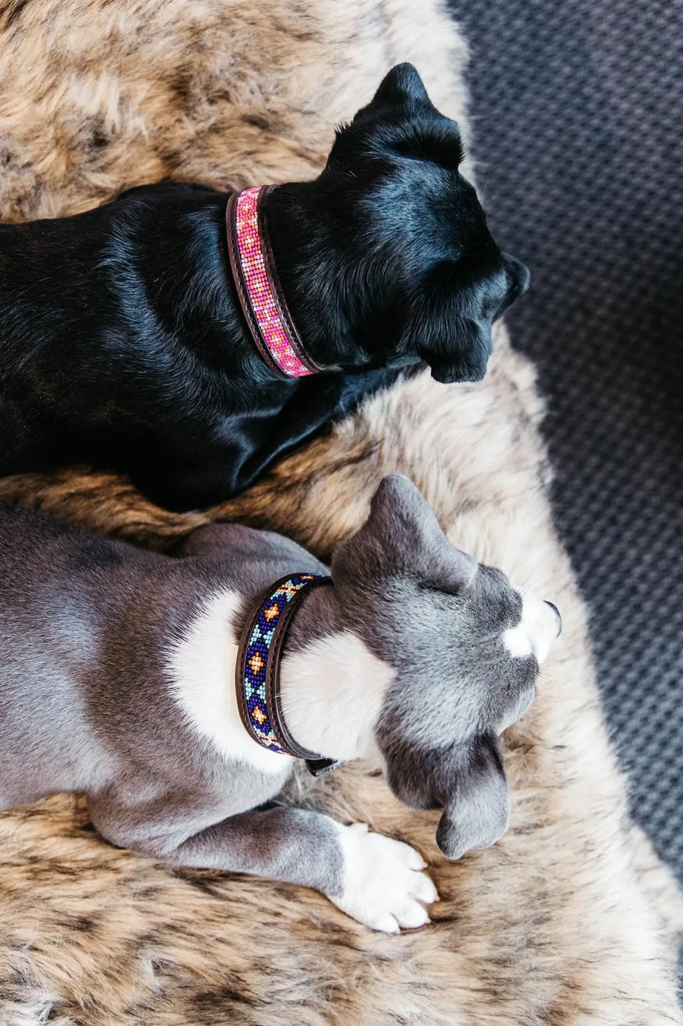 Pärlor Hundhalsband
