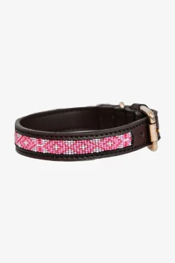 Pärlor Hundhalsband