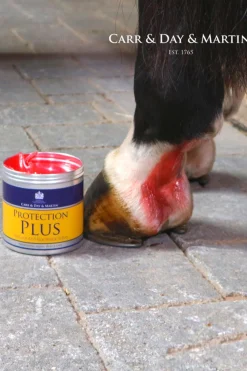 Protection Plus