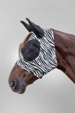 Puck Zebra Flughuva