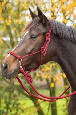 Repgrimma med Reptygel Burgundy