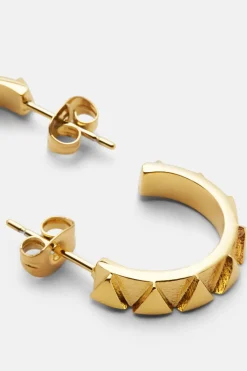 Örhängen Sharktooth Guld