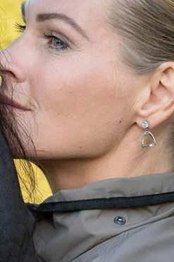 Örhängen Stigbyglar Silver