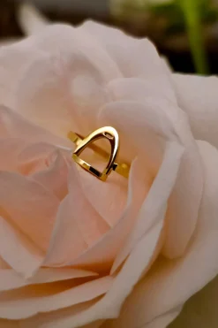 Ring Stigbygel Guld