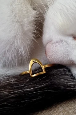 Ring Stigbygel Guld