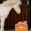 Sammy Ryktborste Enhörning Rosa