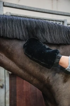 Sheepskin Grooming Glove