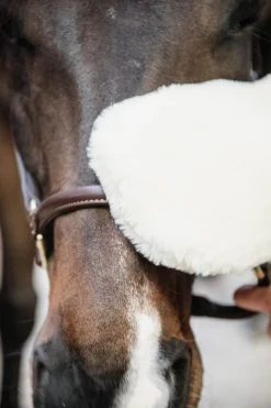 Sheepskin Grooming Glove