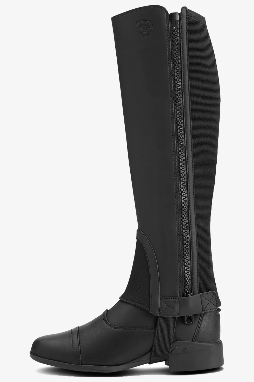 Shortchaps Scout Svart