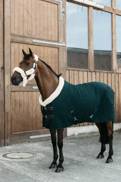 Show Rug 160g Dark Green