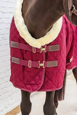 Show Rug Stalltäcke 160G Bordeaux