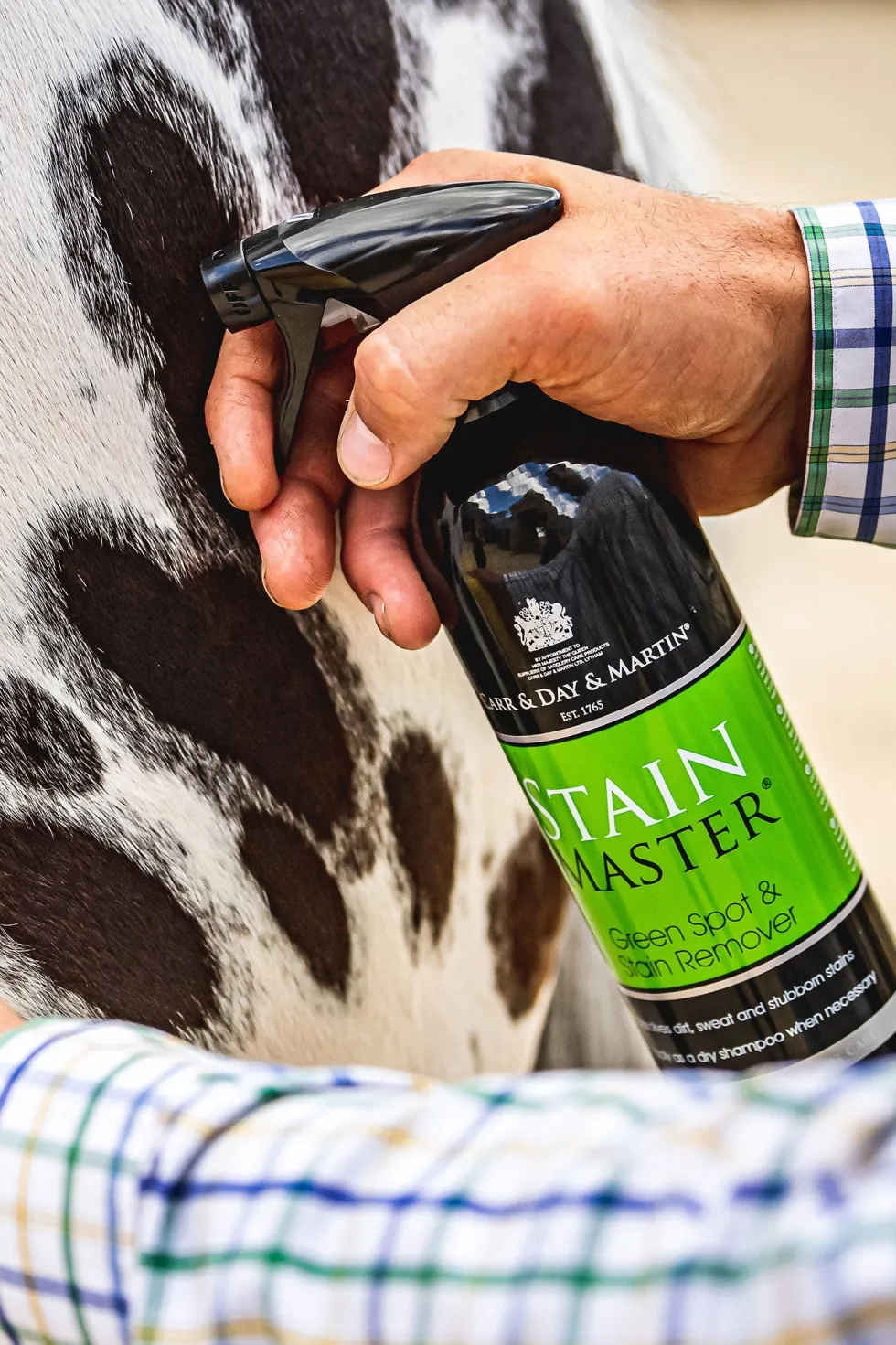 Stain Master Spray