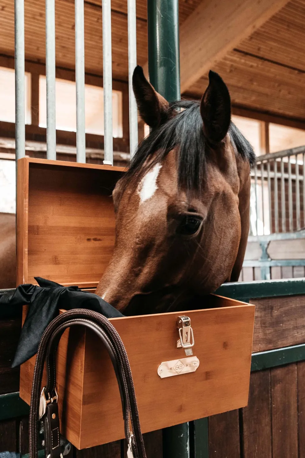 Stall Grooming Låda