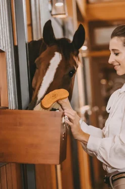 Stall Grooming Låda