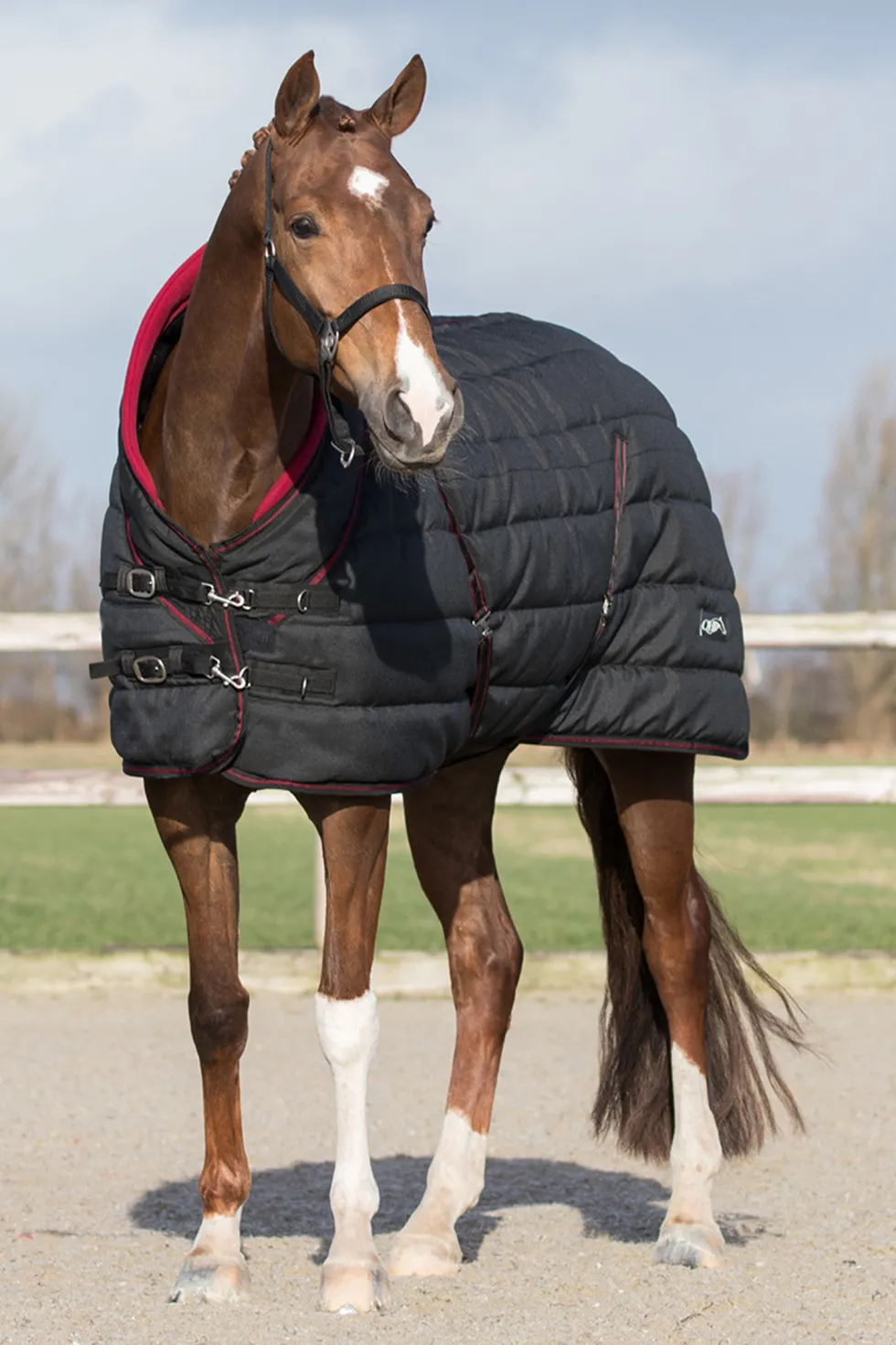 Stalltäcke Luxury 200gr Svart