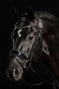 Stanford Glam Träns Svart