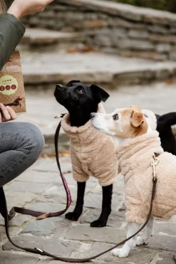 Teddy Fleece Hundtröja