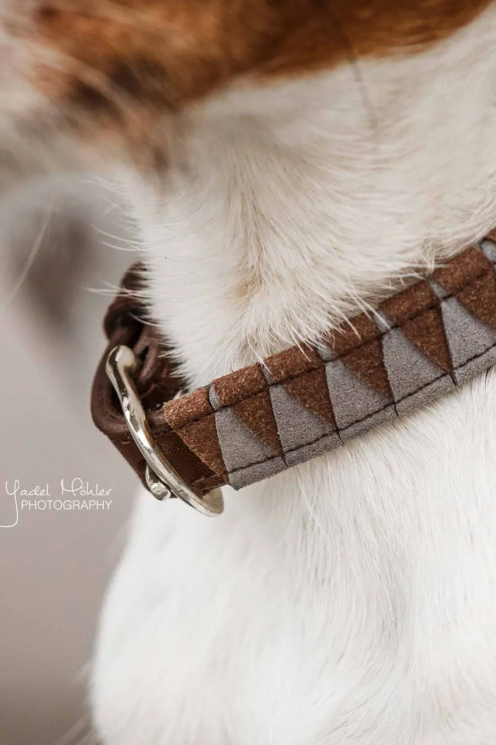 Triangel Hundhalsband