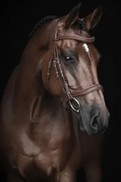 Träns Eccelente Cognac