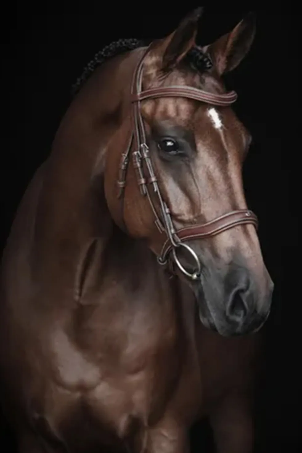 Träns Eccelente Cognac