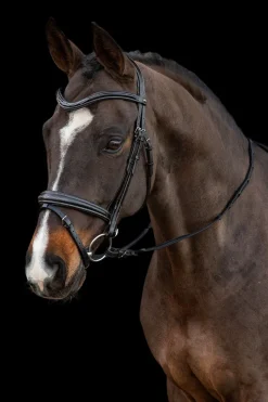 Träns Monza F Svart/Silver