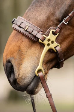 Trust Hackamore Brun/Mässing