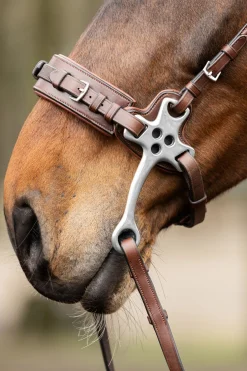 Trust Hackamore Brun/Silver
