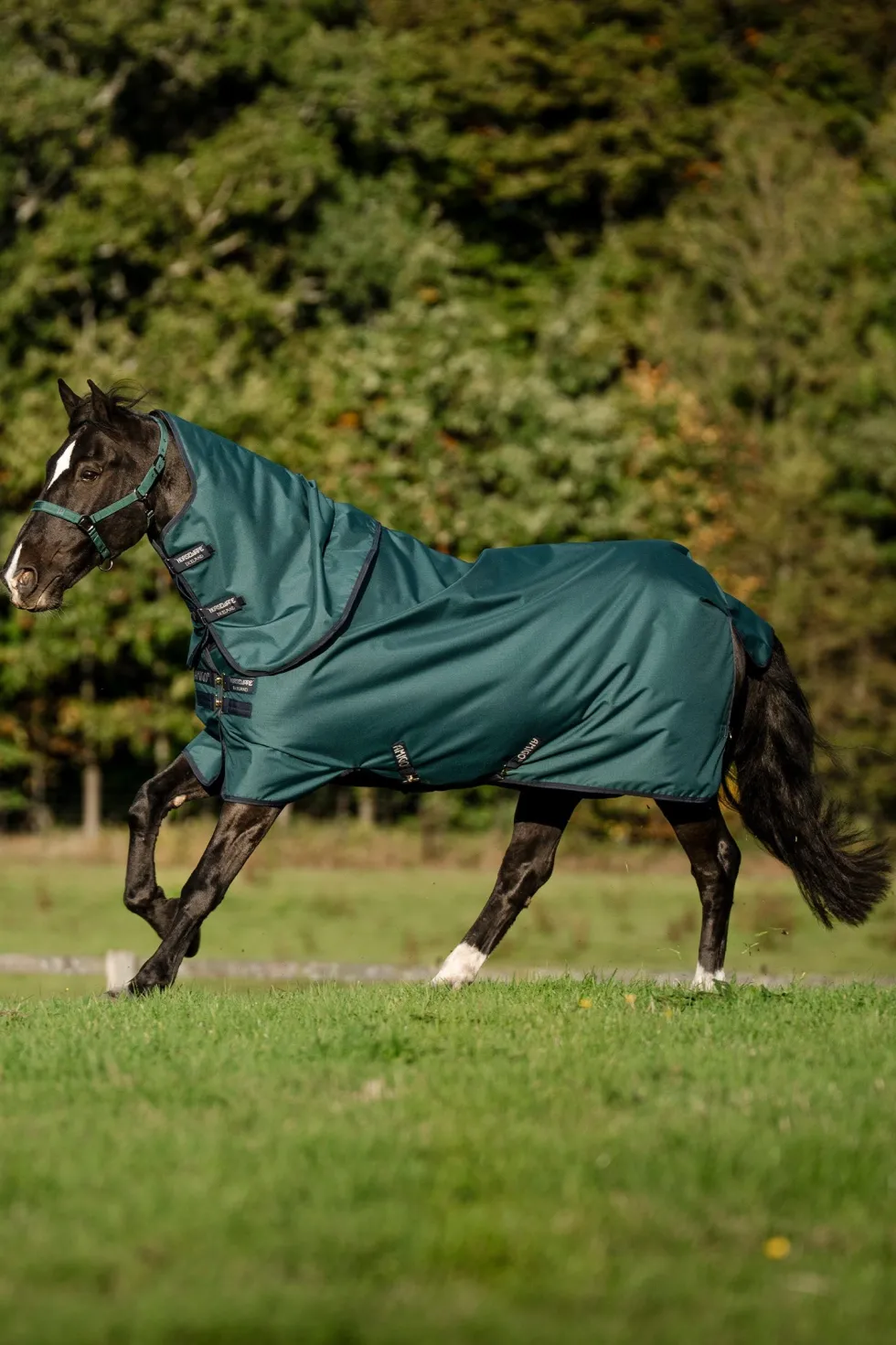 Vintertäcke Amigo Ripstop Plus 900D 100g Green/Navy Silver