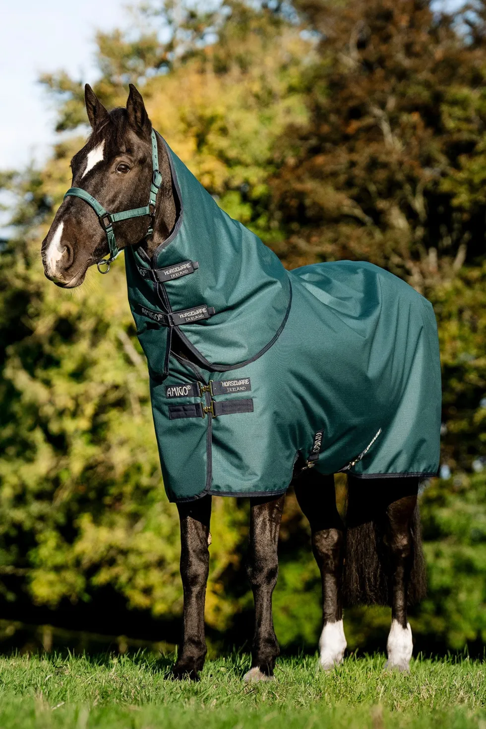 Vintertäcke Amigo Ripstop Plus 900D 100g Green/Navy Silver