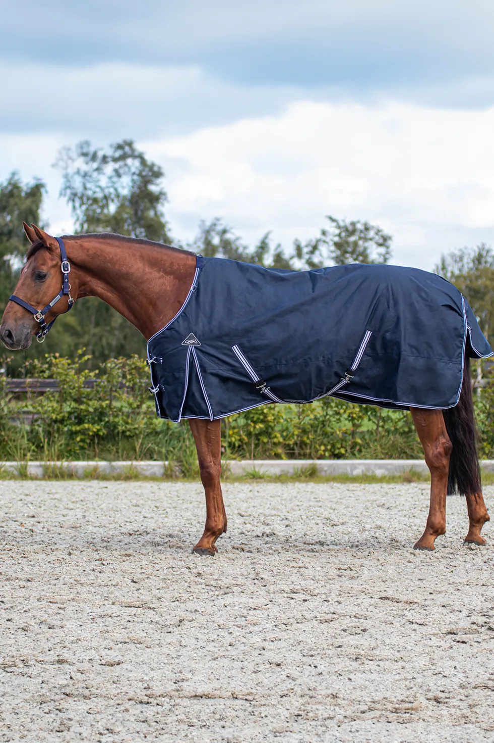 Vintertäcke Luxury 200gr Navy