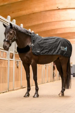 Värme Massagetäcke TecSupreme Svart