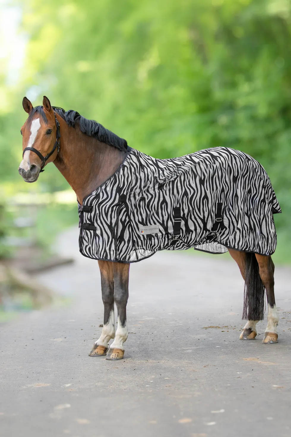 Zebra Flugtäcke Svart/Vit