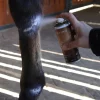 Zinkspray 200ml