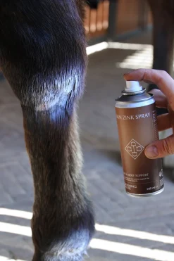 Zinkspray 200ml